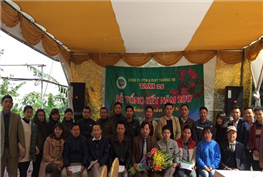 Tất niên công ty
